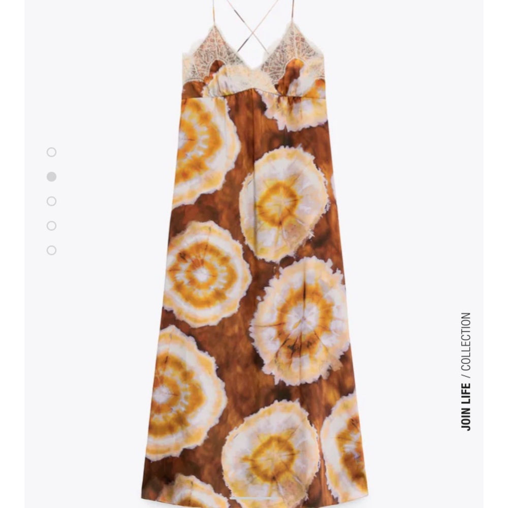 Zara Limited Edition Lace Slip Dress